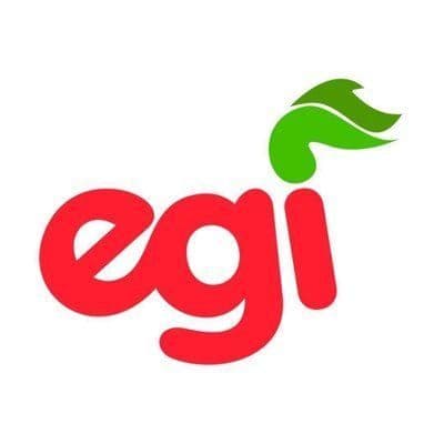 Euzko Gaztedi – EGI